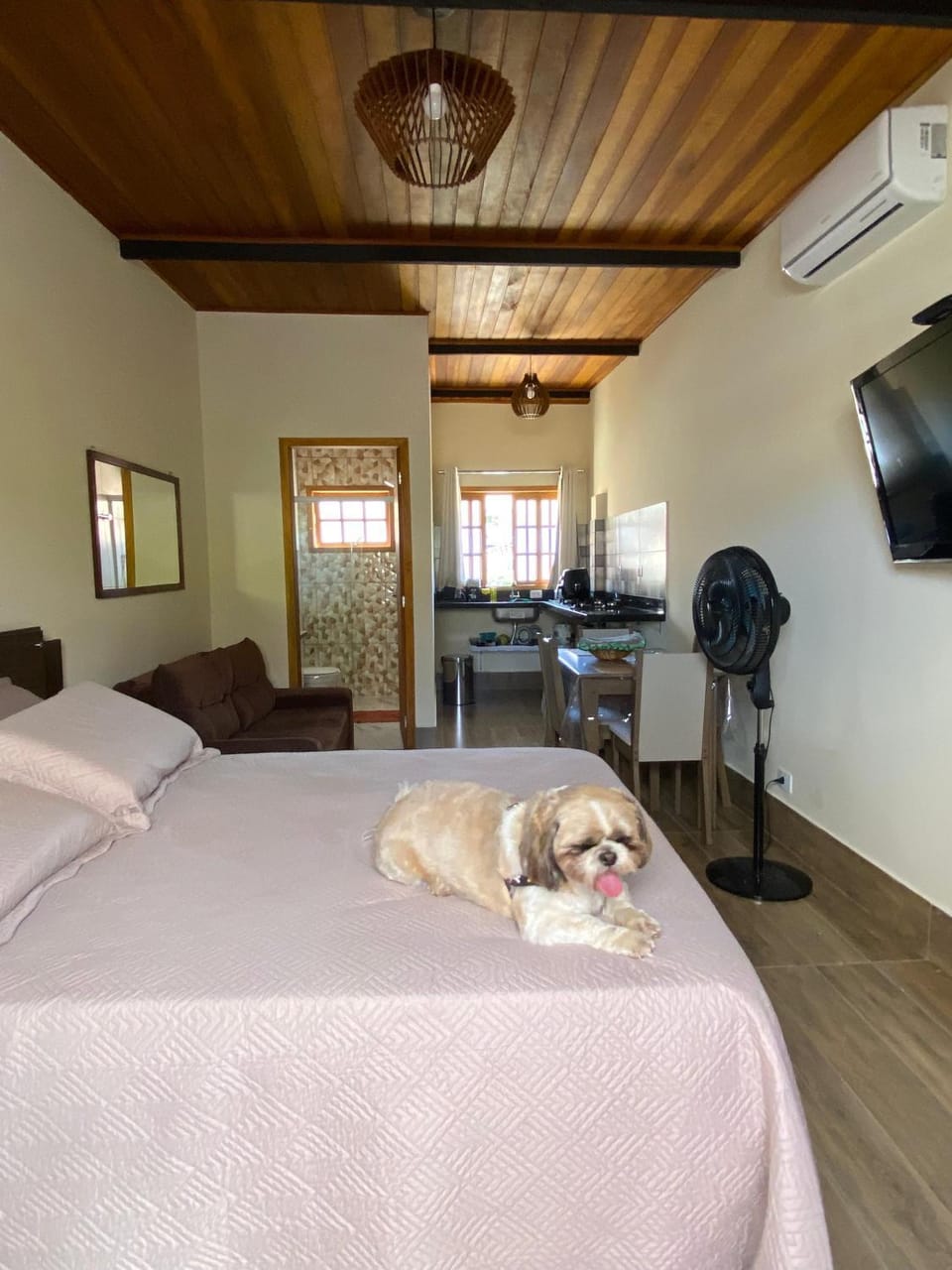 Bed, TV and multimedia, Photo of the whole room, Bedroom, Pets, air conditioner