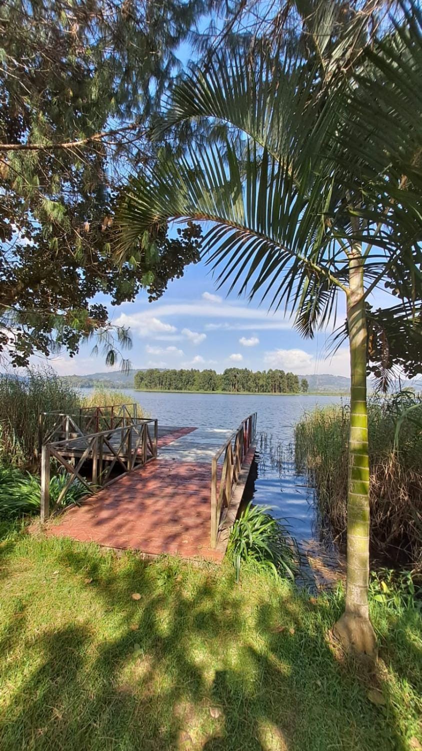 Day, Natural landscape, Garden, Garden, Beach, Garden view, Lake view, River view, Sea view