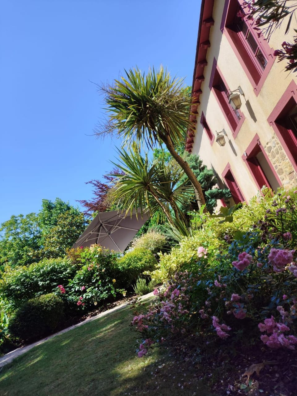 Garden view