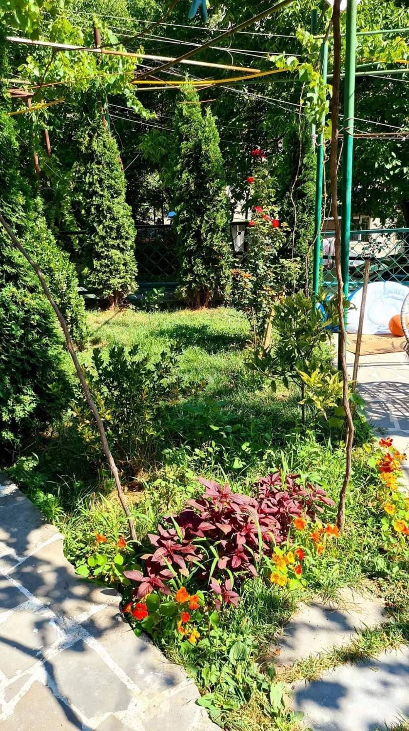 Natural landscape, Garden, Garden view