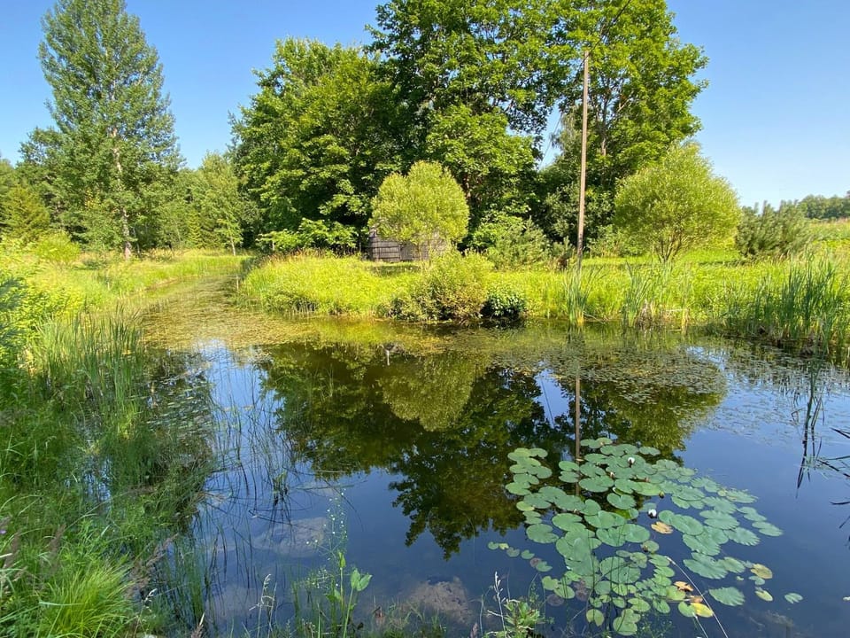 Natural landscape