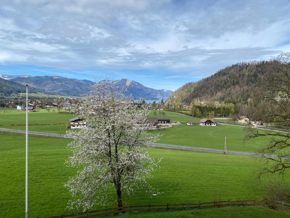 View (from property/room)