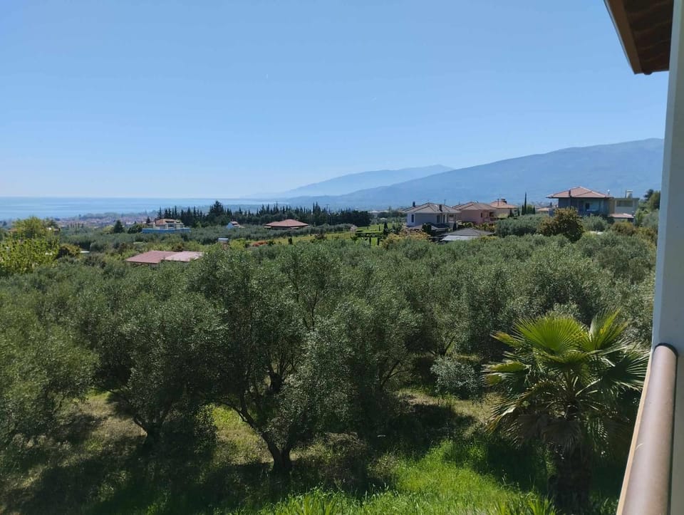 Natural landscape, Garden, Mountain view