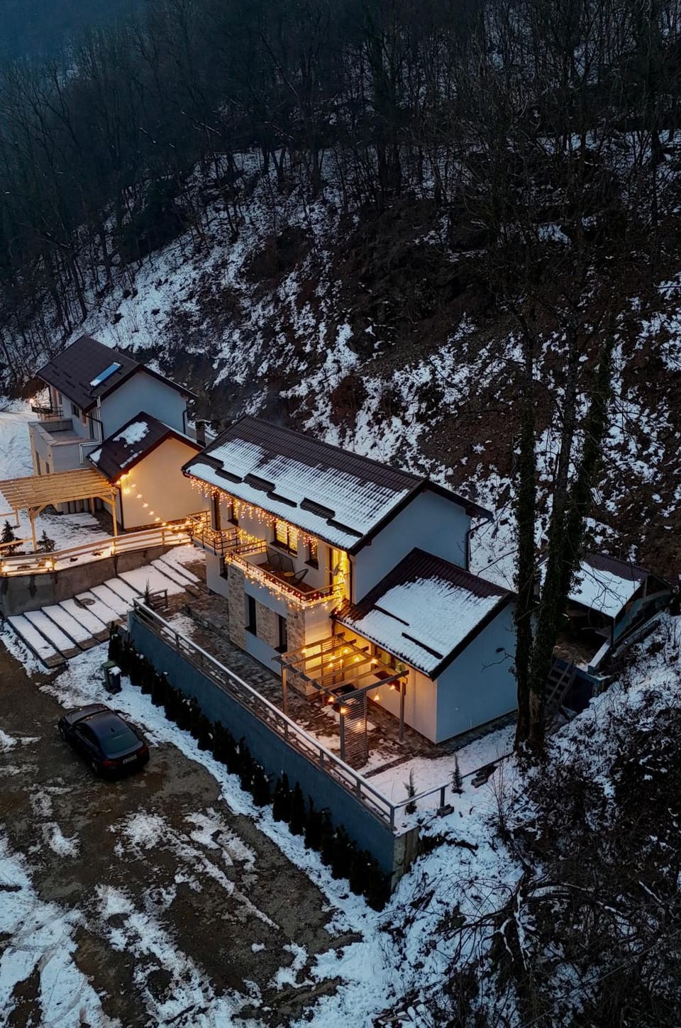 Twin Villa Villa in Timiș County
