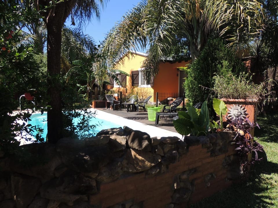 Spring, Garden, Swimming pool