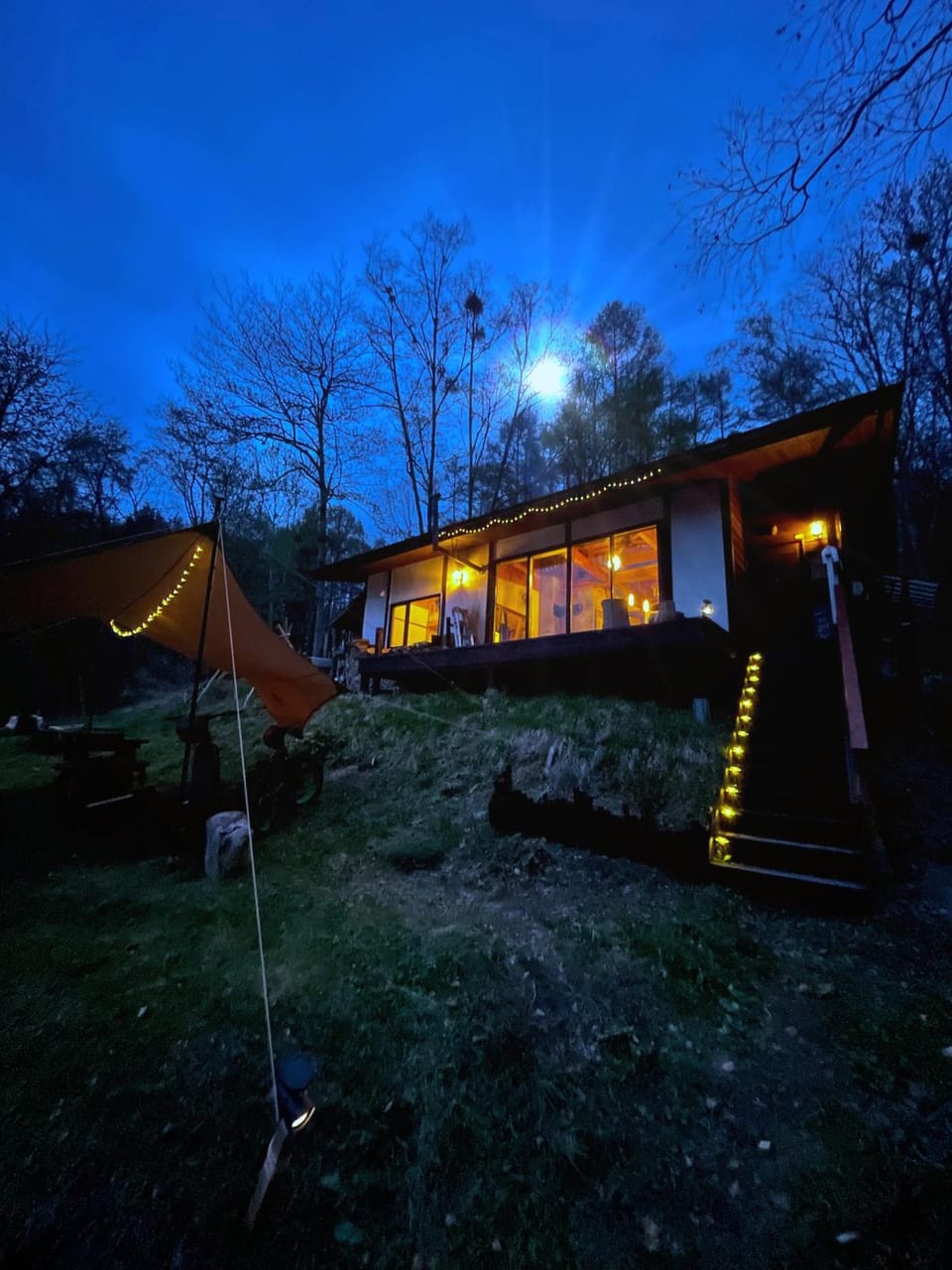 Property building, Night, Garden