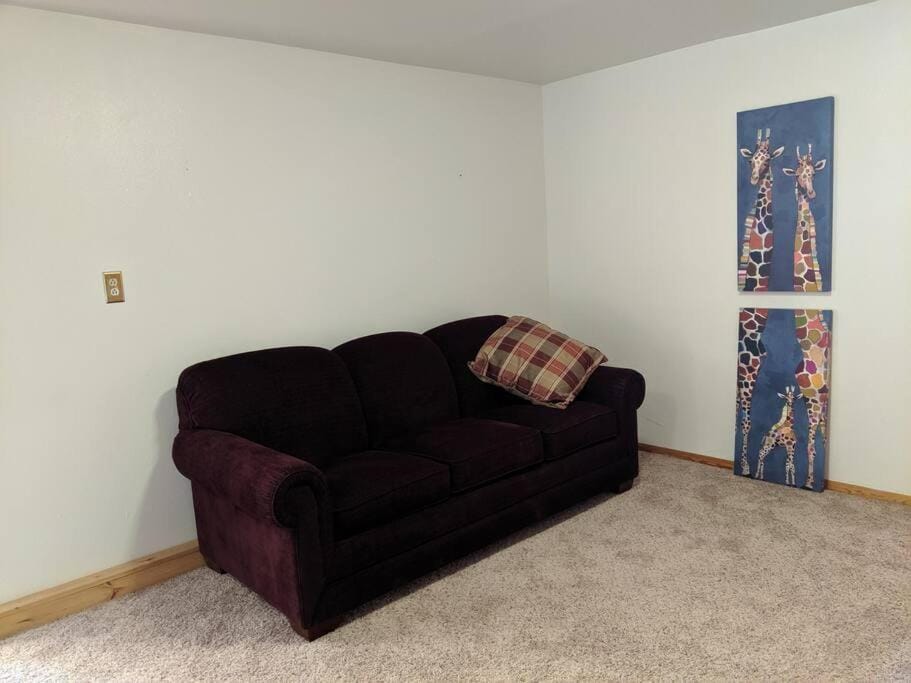 Beautiful quiet getaway in dark skies community. Perfect for a relaxing stay in the mountains Villa in Colorado