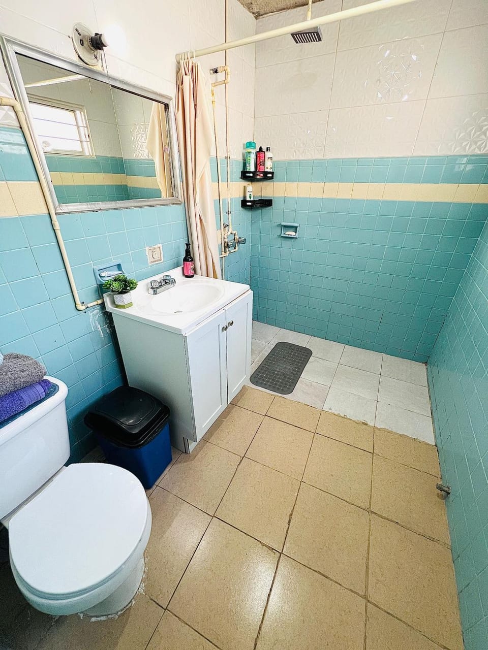 Shower, Toilet, Bathroom, bidet