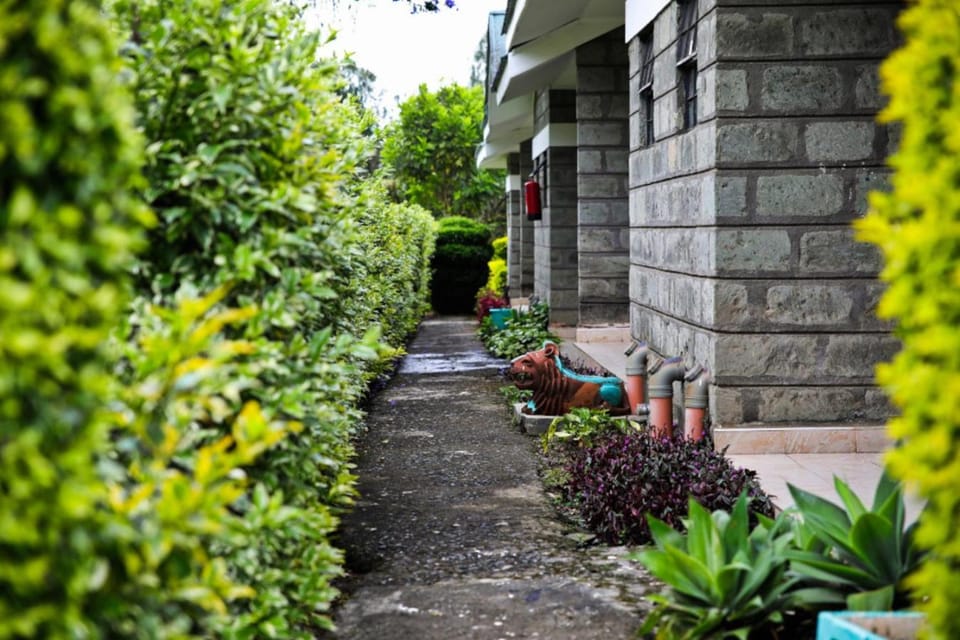 Patio, Garden