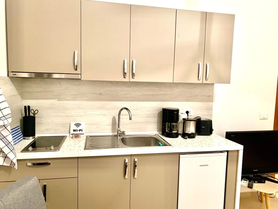 Coffee/tea facilities, Kitchen or kitchenette, minibar, stove, toaster
