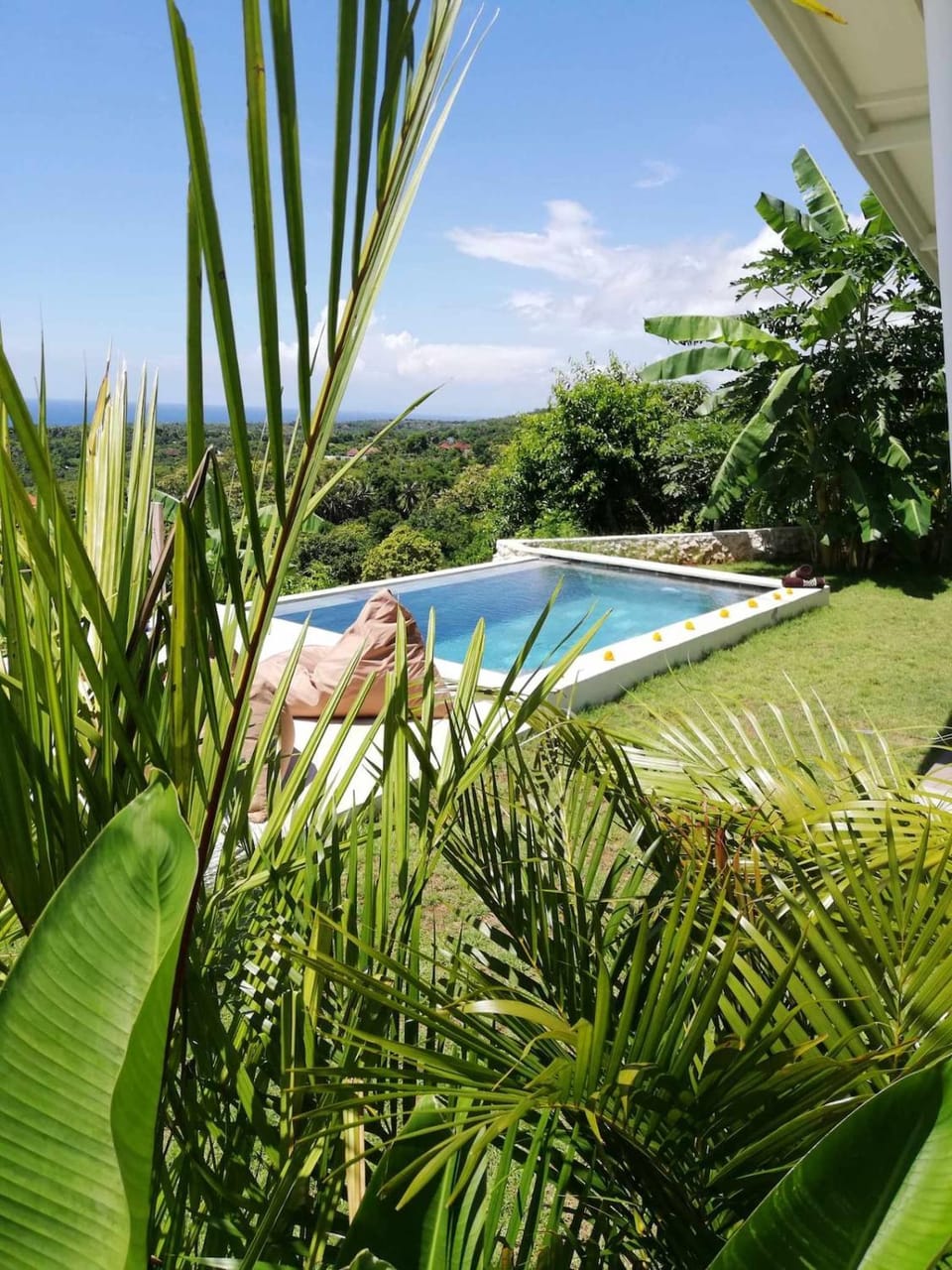 Natural landscape, Garden view, Swimming pool