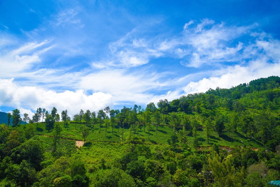 Nearby landmark, Natural landscape