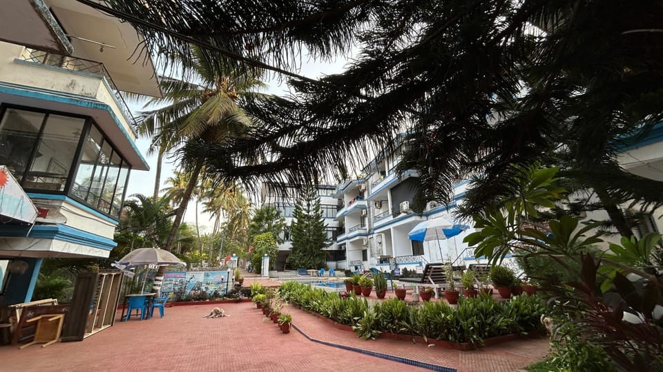 Property building, Day, Garden, Garden view