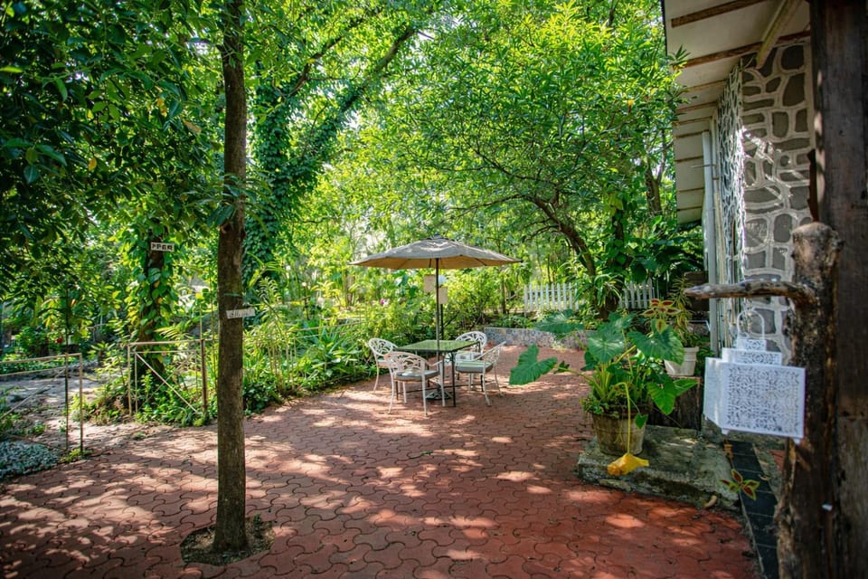 Patio, Spring, Day, Natural landscape, Garden, Garden view
