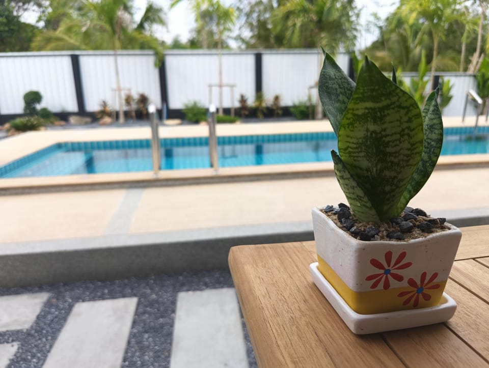Day, Pool view, Swimming pool