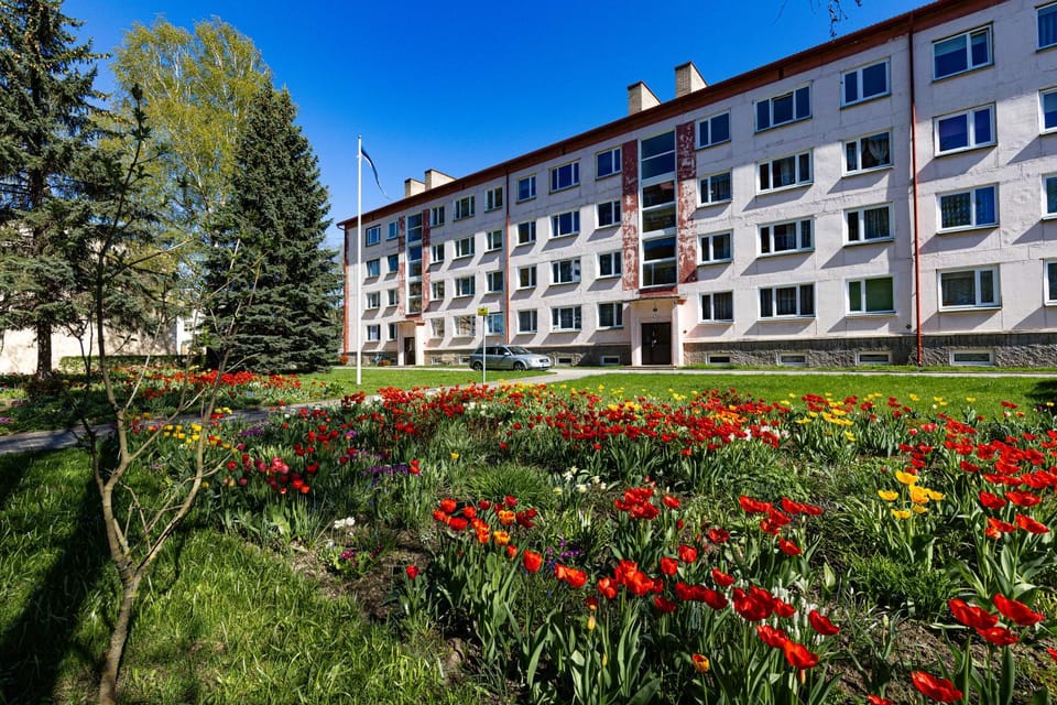 Property building, Spring, Day