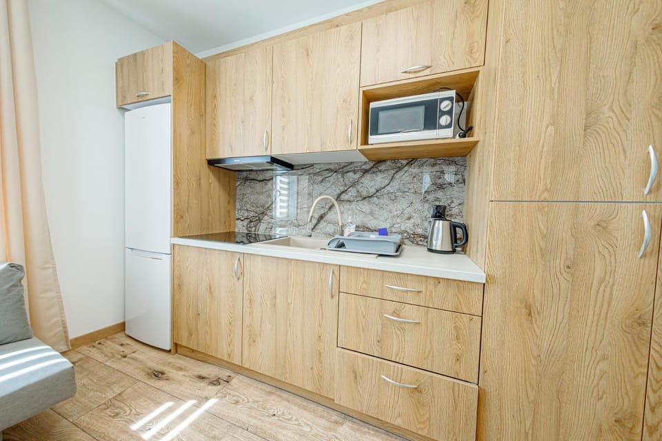 Kitchen or kitchenette, minibar, stove