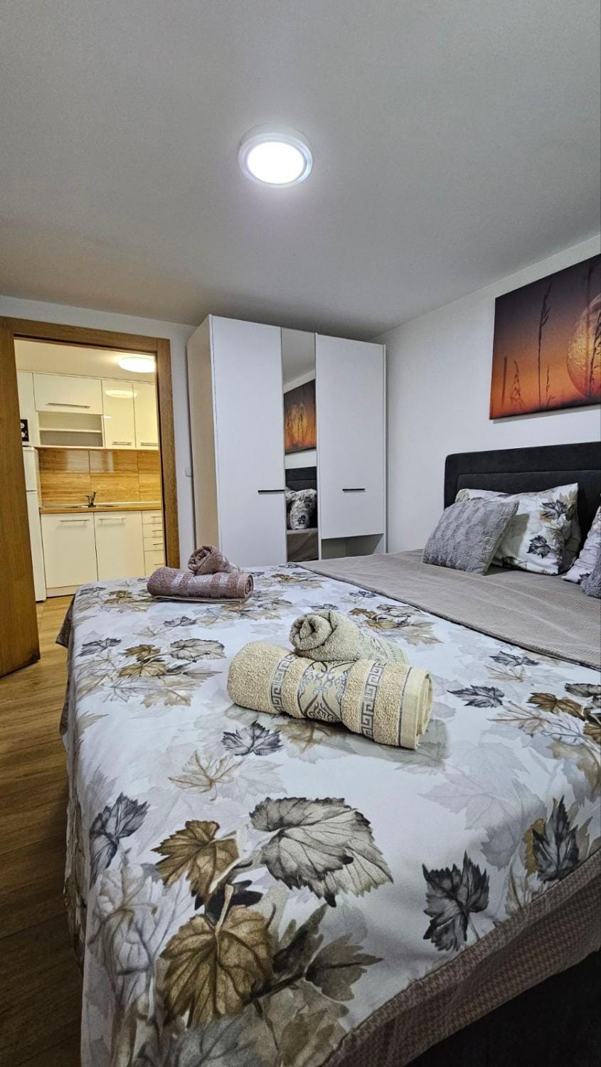 Apartman Djukic Sokobanja 1 Apartment in Serbia