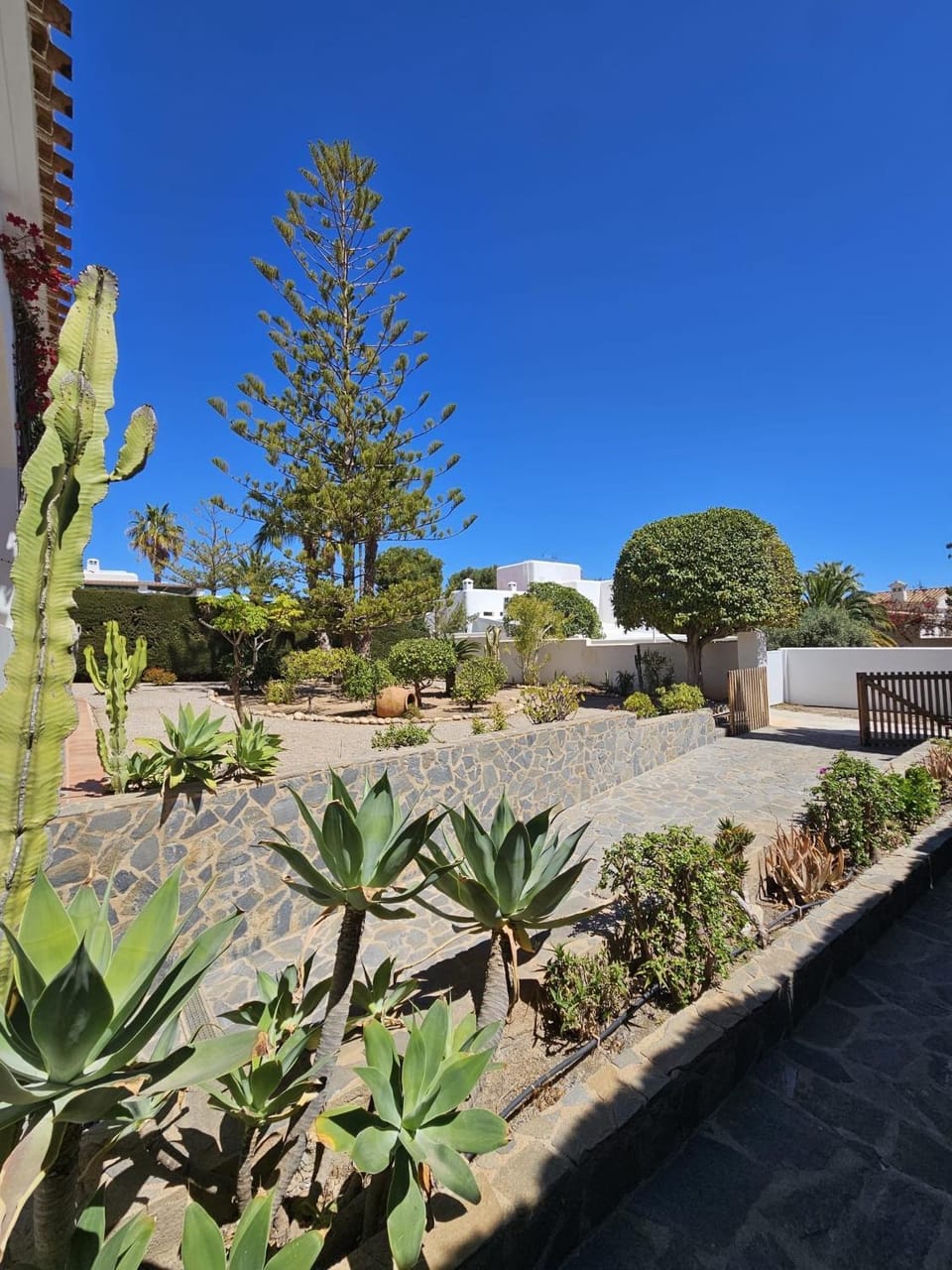 Garden view