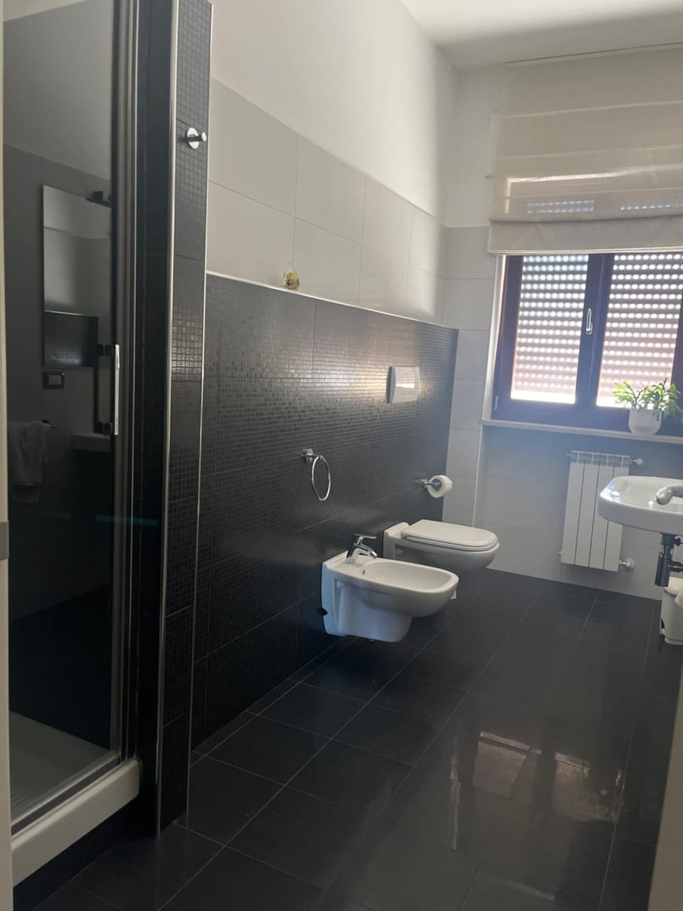 Toilet, Bathroom, bidet