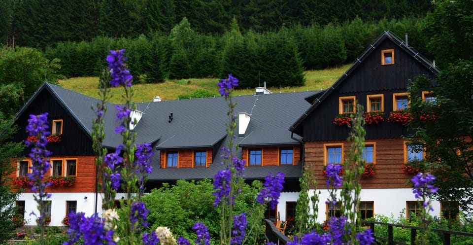 Chata Cyborga Bed and Breakfast in Lower Silesian Voivodeship