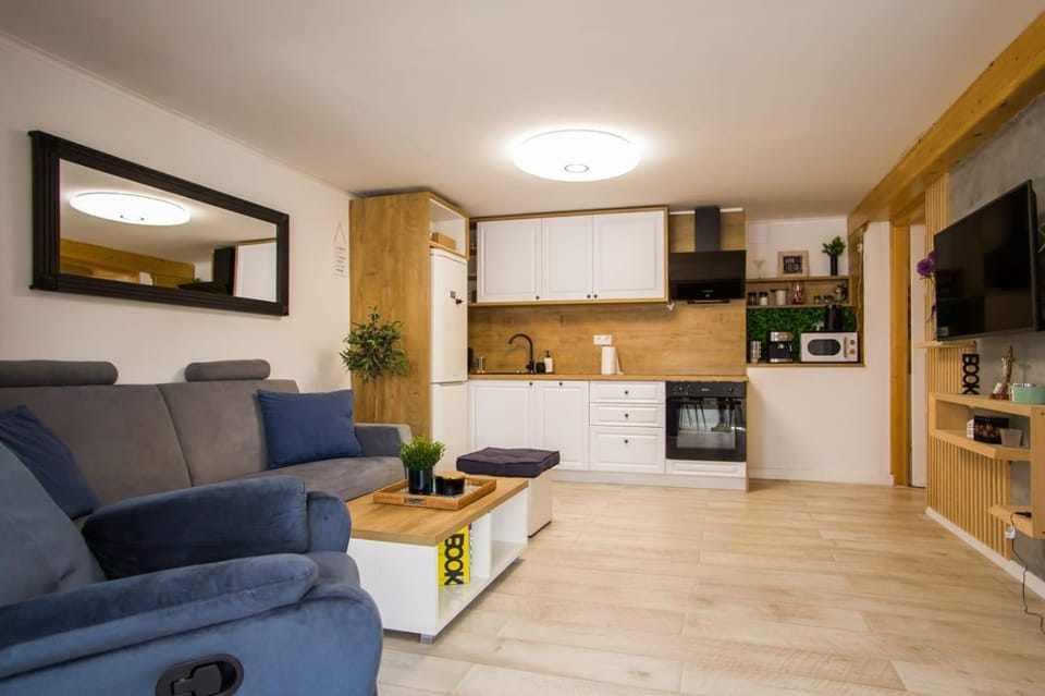 TV and multimedia, Living room, Seating area, minibar, pet friendly, stove
