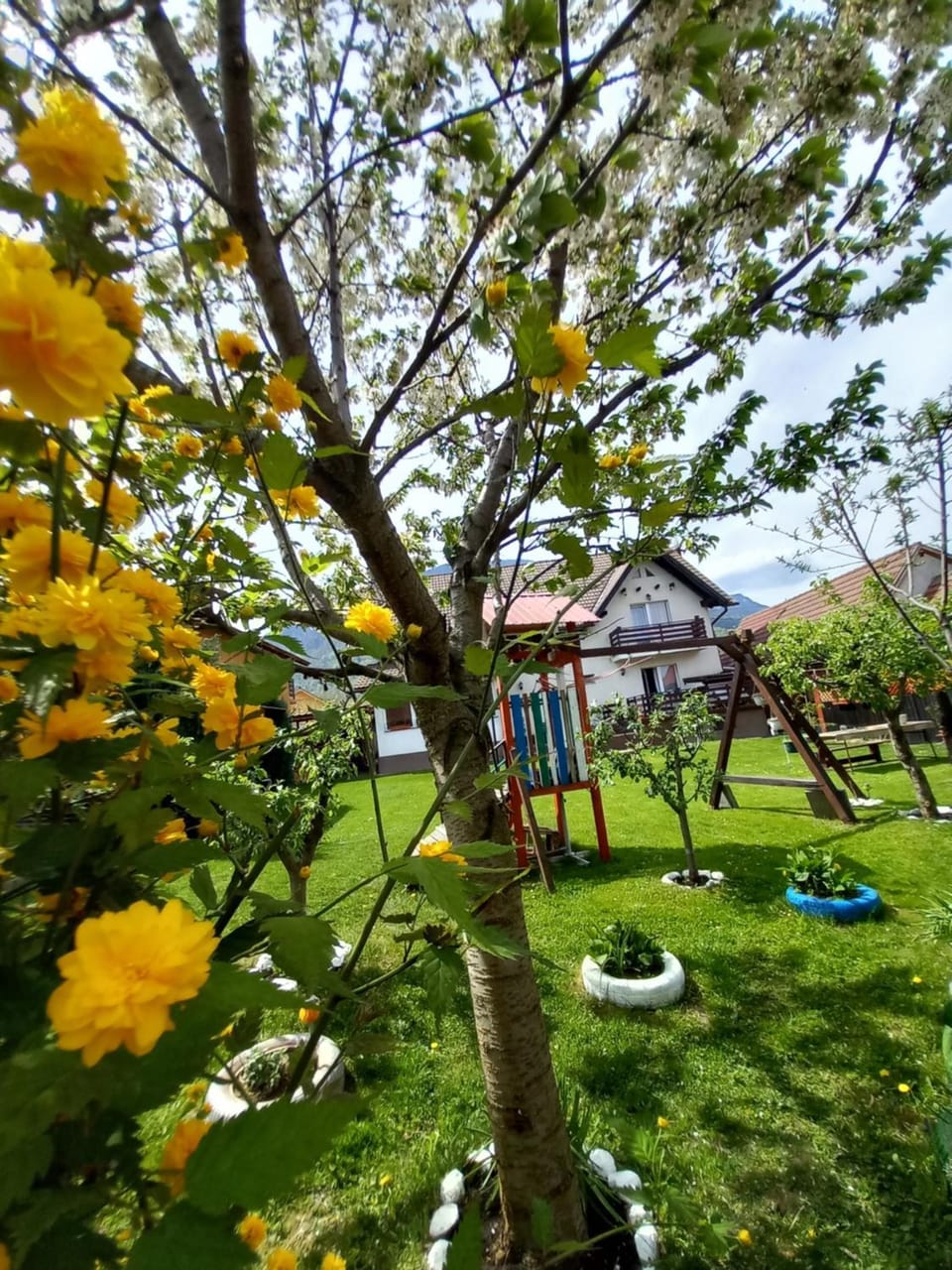Children play ground, Garden