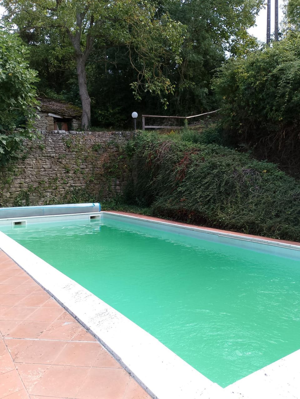 Swimming pool