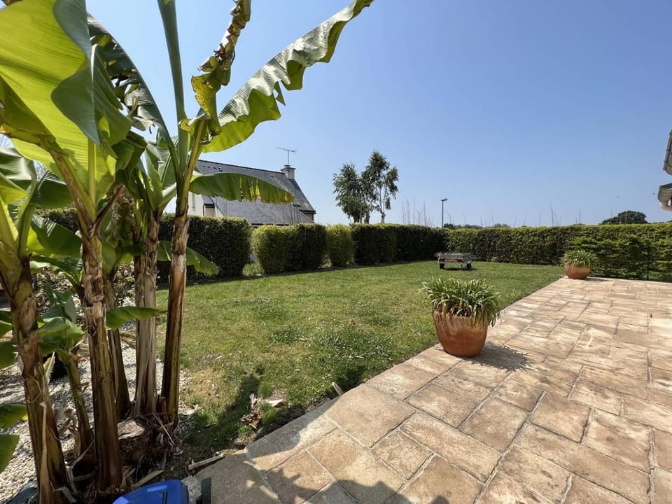 Garden, Garden, Balcony/Terrace, Garden view