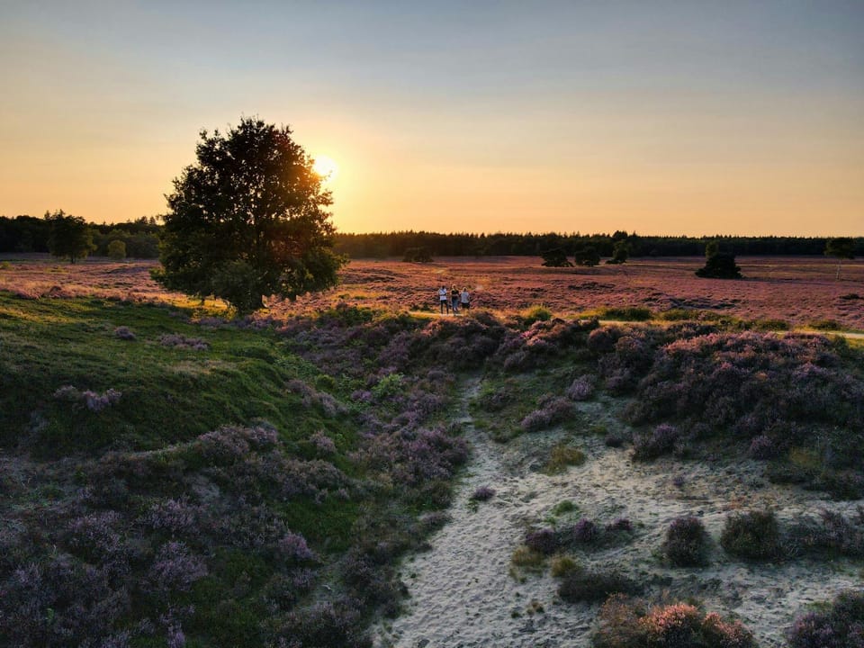 Natural landscape