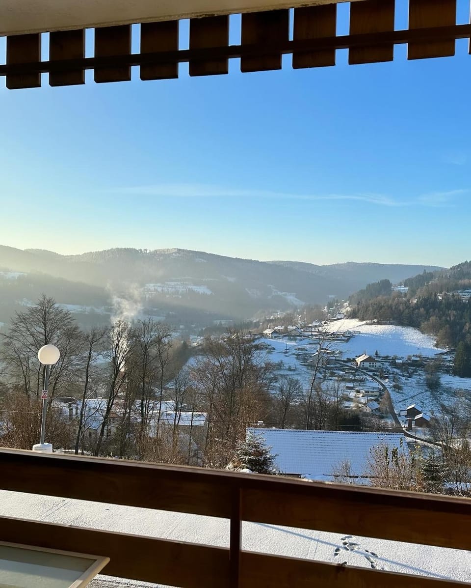 Day, Winter, Balcony/Terrace, Mountain view