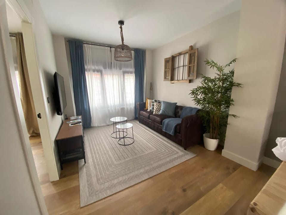 Bed, TV and multimedia, Seating area