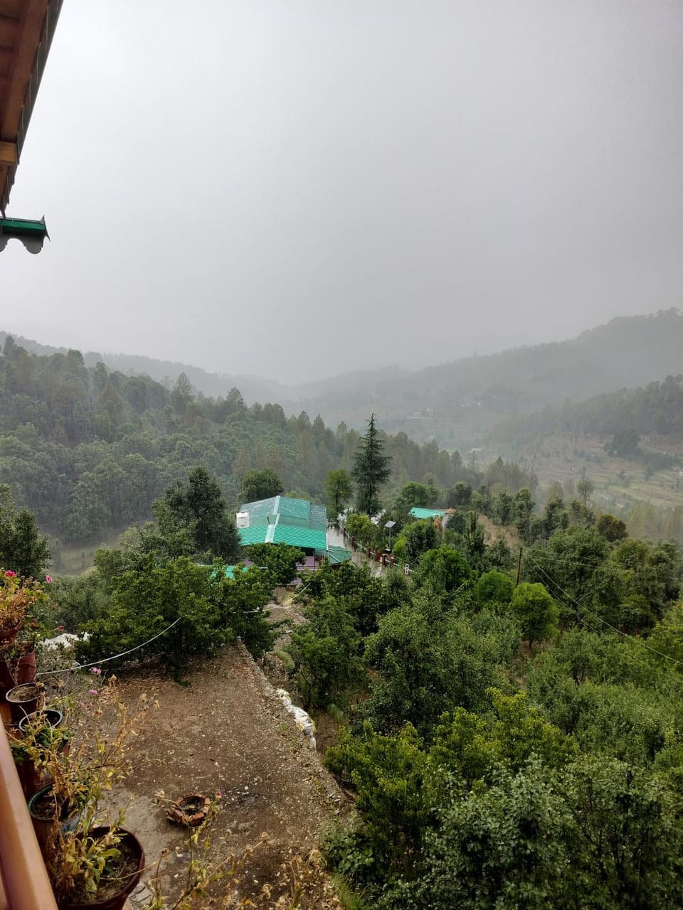 Garden view