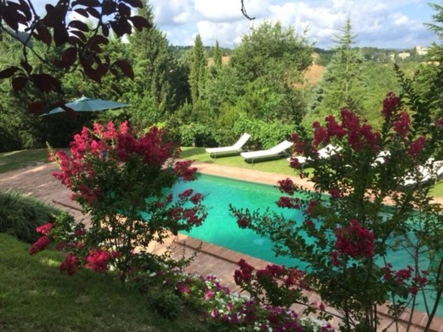 Spring, Garden view, Pool view, Swimming pool