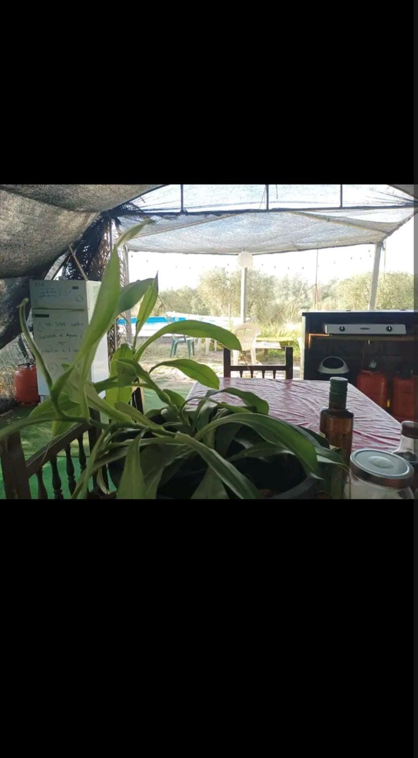 Tienda acogedora con piscina "Amantes de la naturaleza" 1 Luxury tent in Costa de la Luz