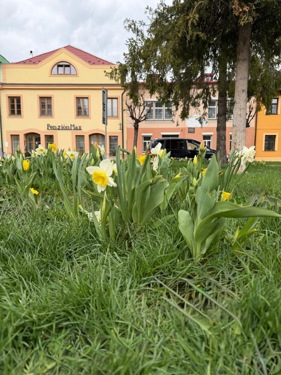 Property building, Spring, Natural landscape, Parking