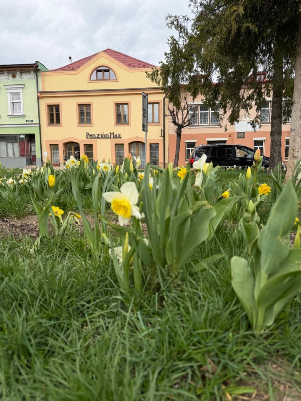 Property building, Spring, Natural landscape, Location, Parking