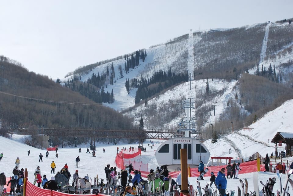 Skiing, Area and facilities