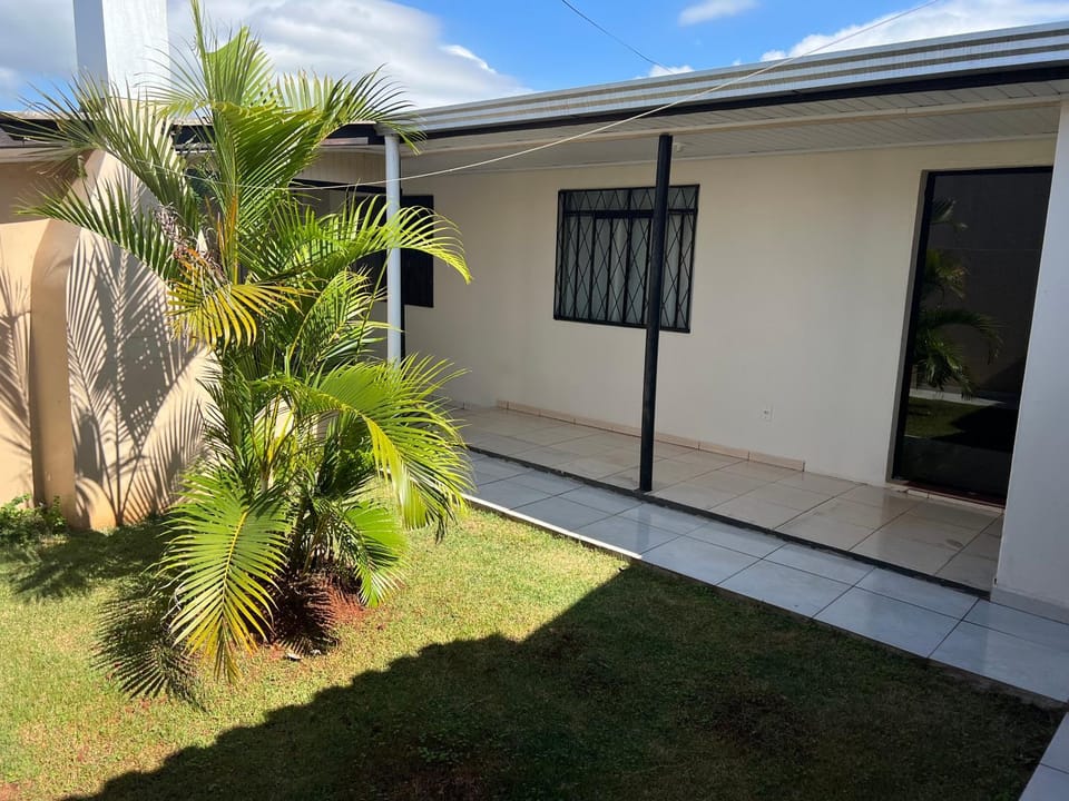 Day, Garden, Garden view