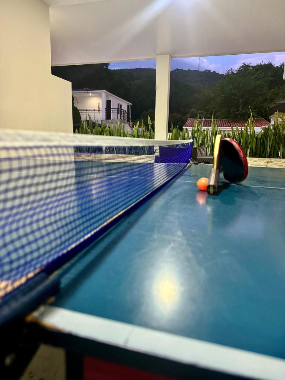 Game Room, Table tennis, Pool view