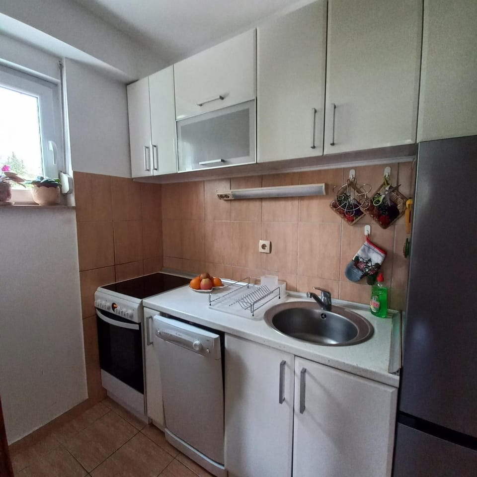 dishwasher, hair dryier, pet friendly, stove, kitchen