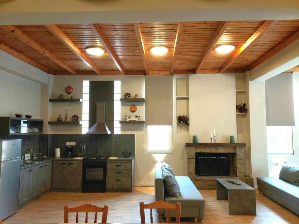 Kitchen or kitchenette, Living room, Seating area, Dining area, oven, pet friendly, stove