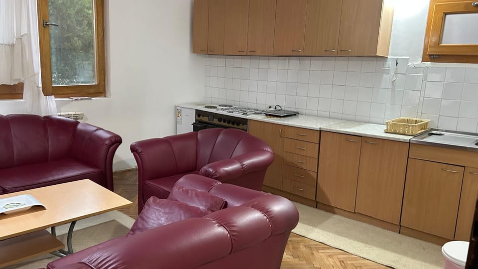 Milovanović Apartment in Serbia