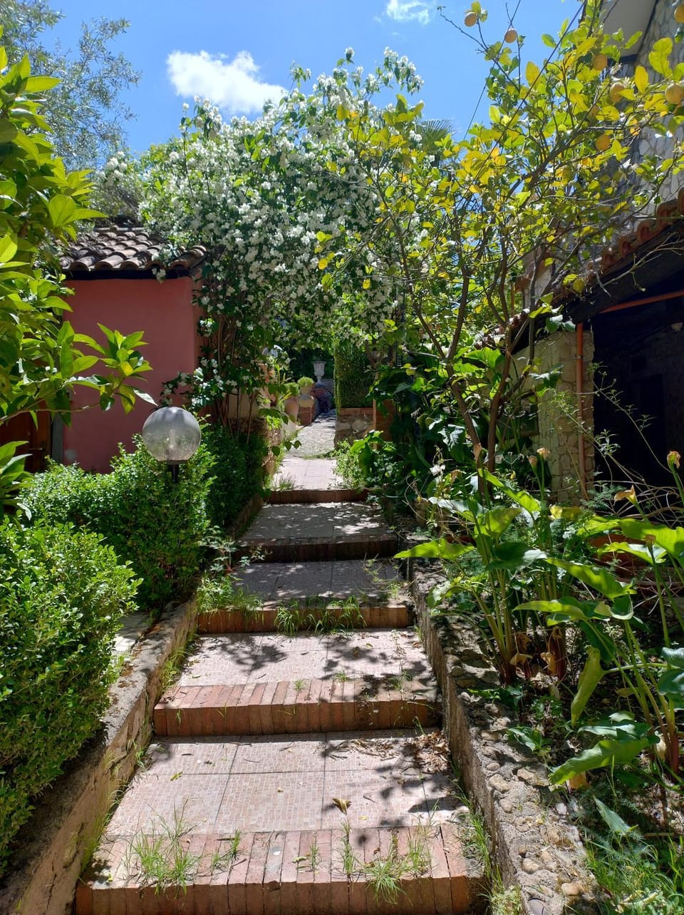 Spring, Garden
