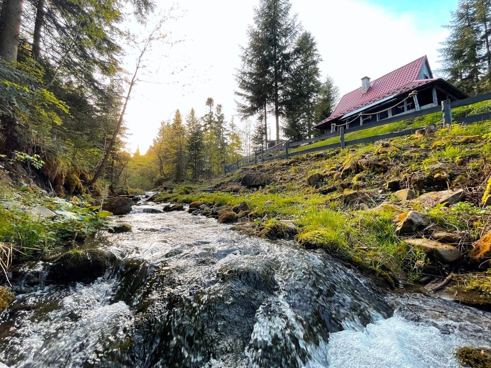 Property building, Garden, Garden view, River view, pet friendly