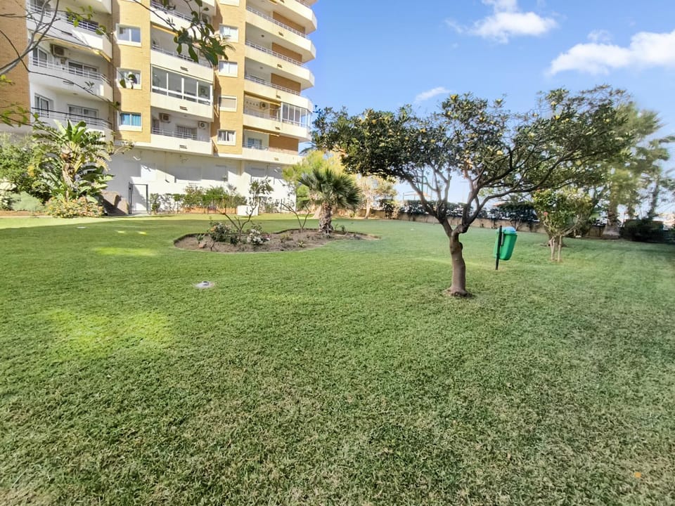 Patio, Garden, Garden view