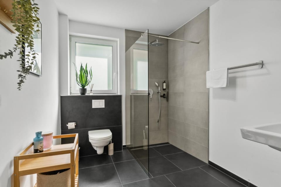 Shower, Toilet, Bathroom, acessibility