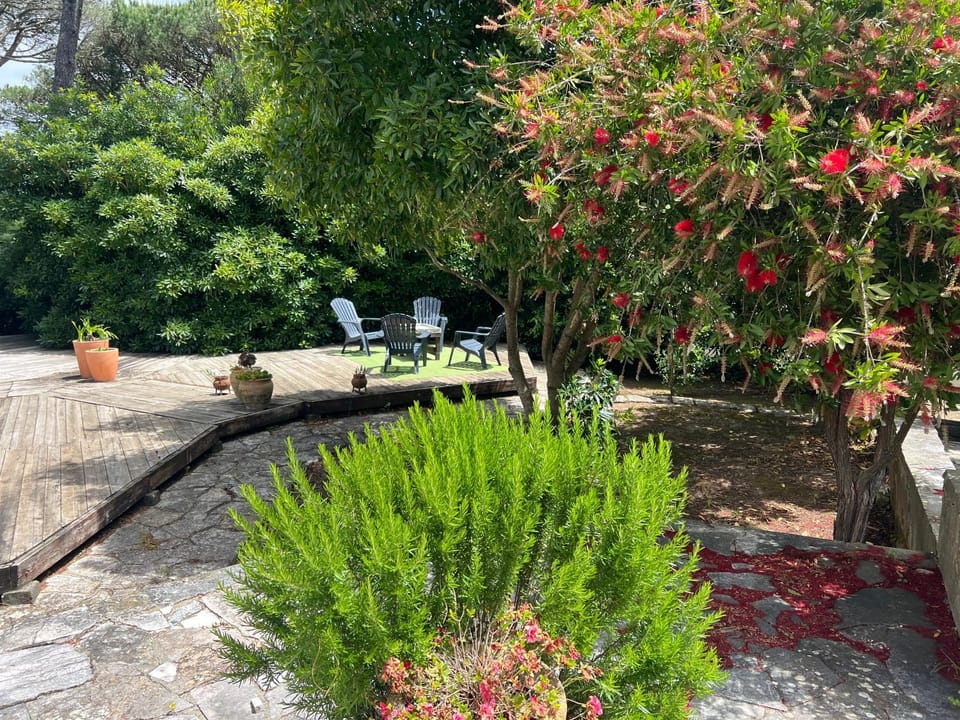 Garden, Garden view