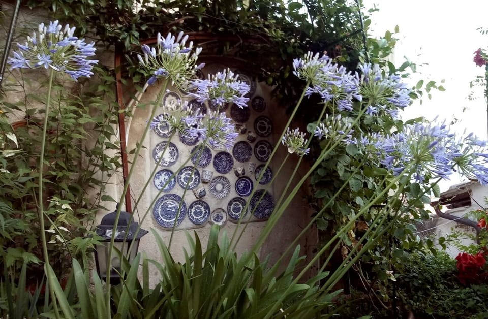 Garden, Garden view