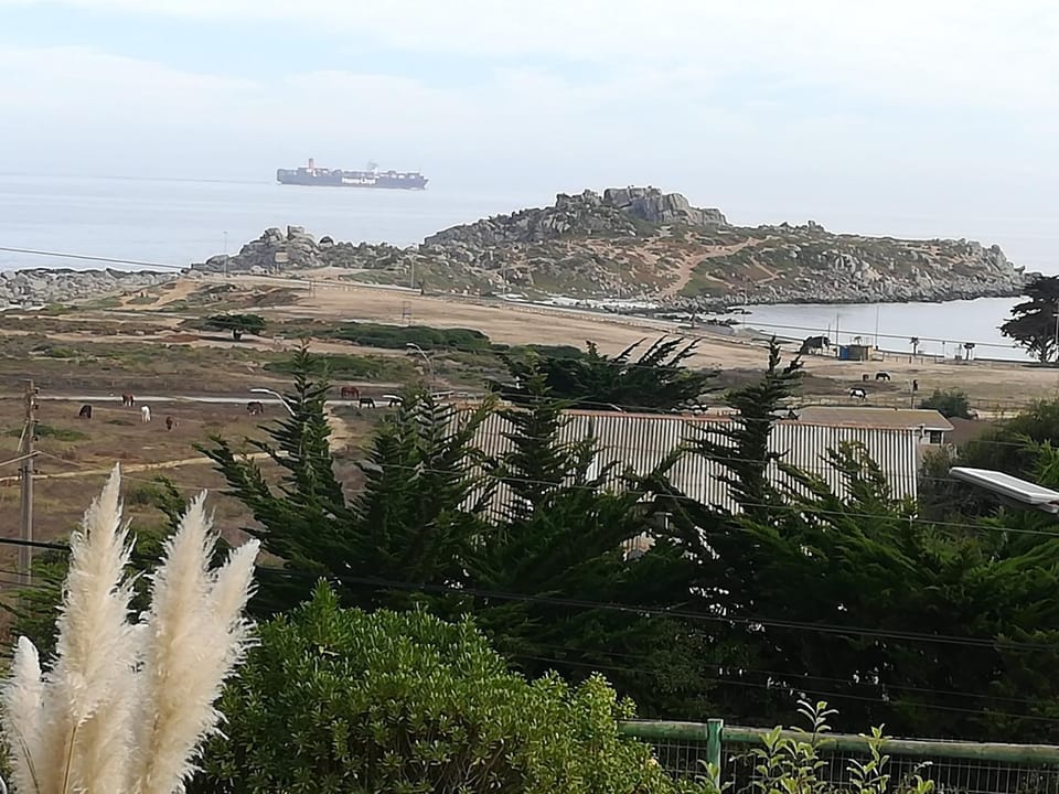 Sea view